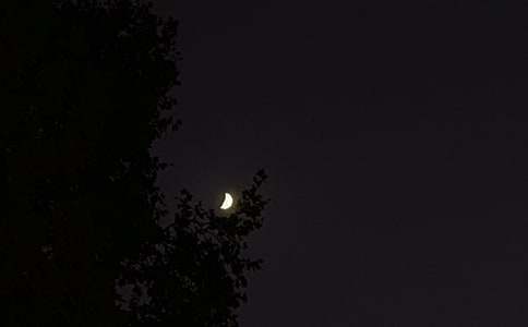 ͨ������΢���ʺ���ժ¼53��