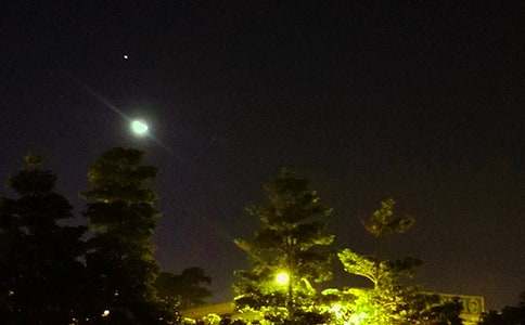 ������������15ƪ