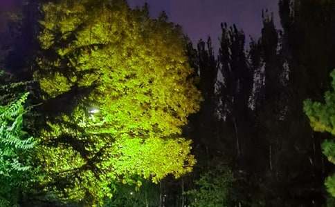 2021�꾭����ܰ��������������Ȧ22��