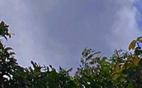 温馨的午安微信问候语集合62条