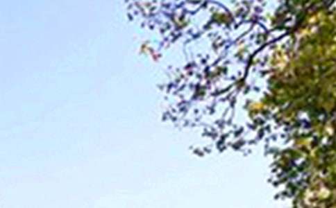 ������־�簲ף����70��