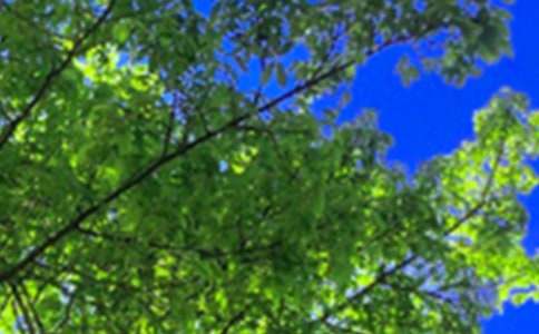 ���������簲ǩ�����ܣ�ͨ��60�䣩