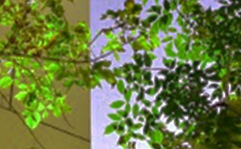 ů���簲˵˵����80��