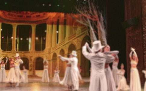 ��ѧ�赸��ѧ�ƻ� 