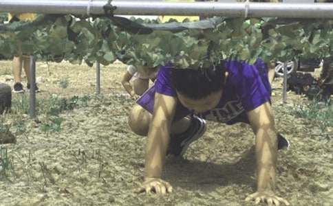 ����Ӫ�߻��鷶��