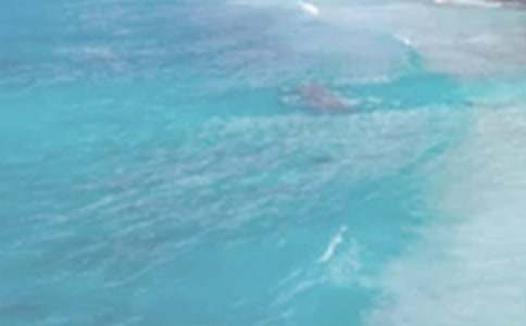 夏日的邀请函读后感范文(通用15篇)