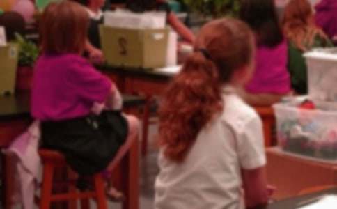 ���Ƽ���Сѧ��ѧϰ�ƻ����ĺϼ�7ƪ