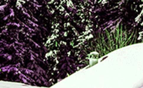 Сѩ����������Ȧ�̾���500��