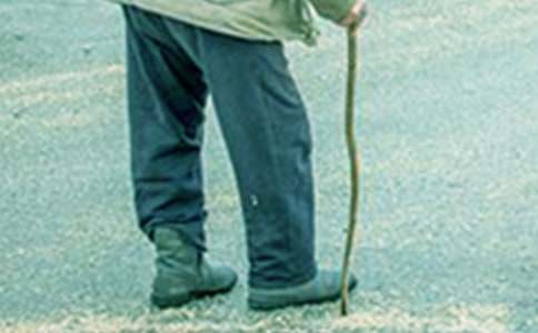 ��үү��С������ѧ���