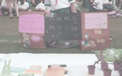 ������ܽ᷶��