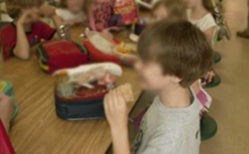 �׶�԰����ѵ�ĵ����