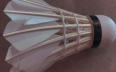 ��ë�����߻���