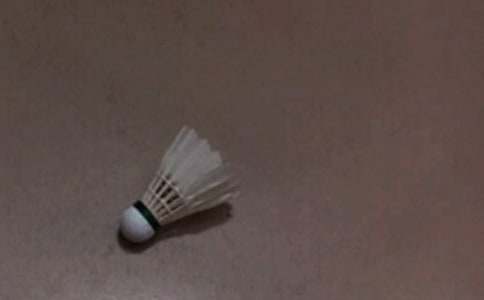 羽毛球兴趣小组活动计划