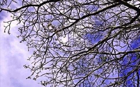 【精华】早安问候语语录大合集52条