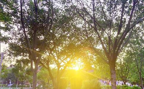 2021年通用每日一签早安问候语语录汇编40句