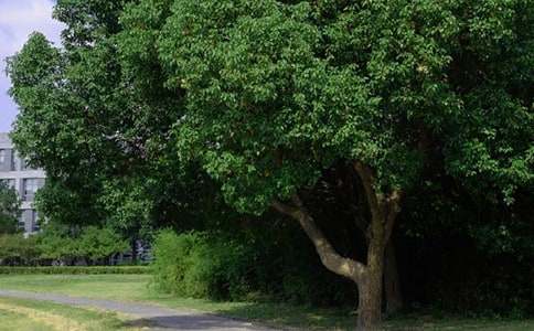 ���Ƽ���2021�����õ��簲΢���ʺ���54��