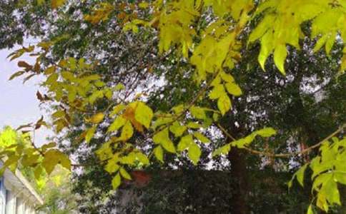 简单的动人的早安问候语语录24条