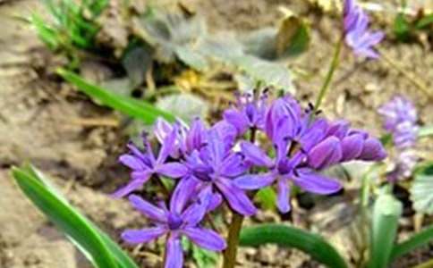 【实用】2022年治愈系早安问候语语录23条