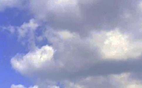 2022���̵����õ��簲ף������¼31��