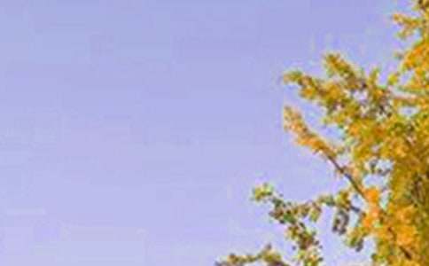 2025���йض��˵��簲QQ�ʺ���49��