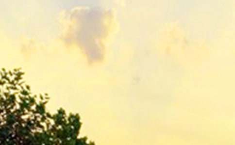 �����š�2021�����õ��簲QQף����45��