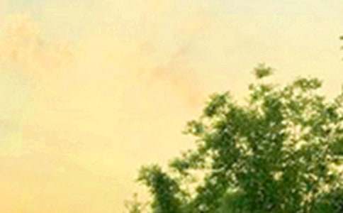 2024��ͨ��Ψ�����簲����Ȧ�ʺ��Ｏ��64��