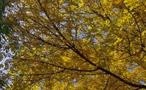 【实用】每日一句早安问候语语录摘录47句