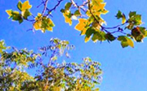 ��ʵ�á�����ϵ�簲�ʺ�����¼26��