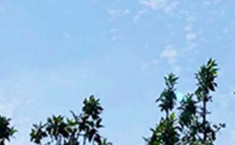 简单早安感言115句