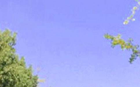 简单的适合给朋友的早安微信问候语摘录56句