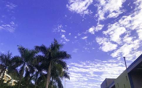 2025年简单的美好的早安问候语短信锦集43条