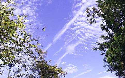 2021年精选治愈系早安问候语语录49句