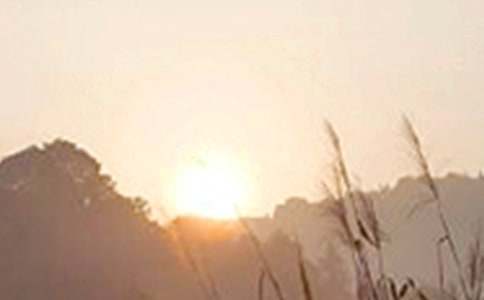 ��������2026���簲�ʺ�����¼40��