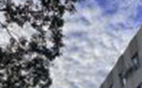 2022年精选治愈系早安问候语语录汇编61条