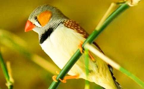 �������񡷽�ѧ��˼15ƪ