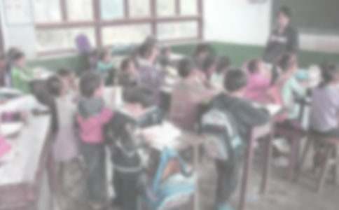 ʵϰ֧���ܽᣨ��ѡ22ƪ��