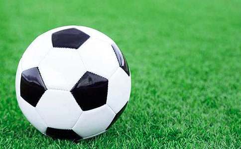 ��������˵�θ���6ƪ