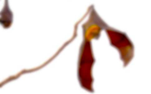 ��������״�Ľ�ѧ��˼����7ƪ