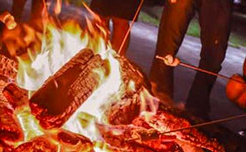 �����������ָ�