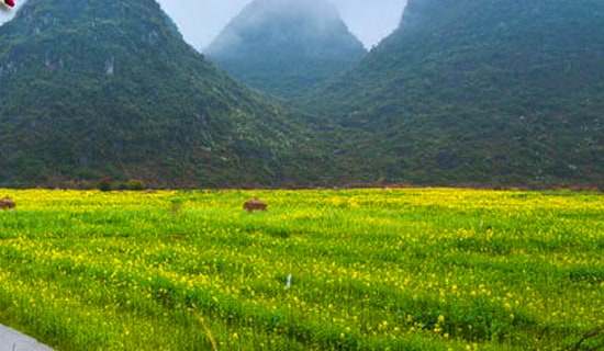 Сѧ�����β߻���15ƪ